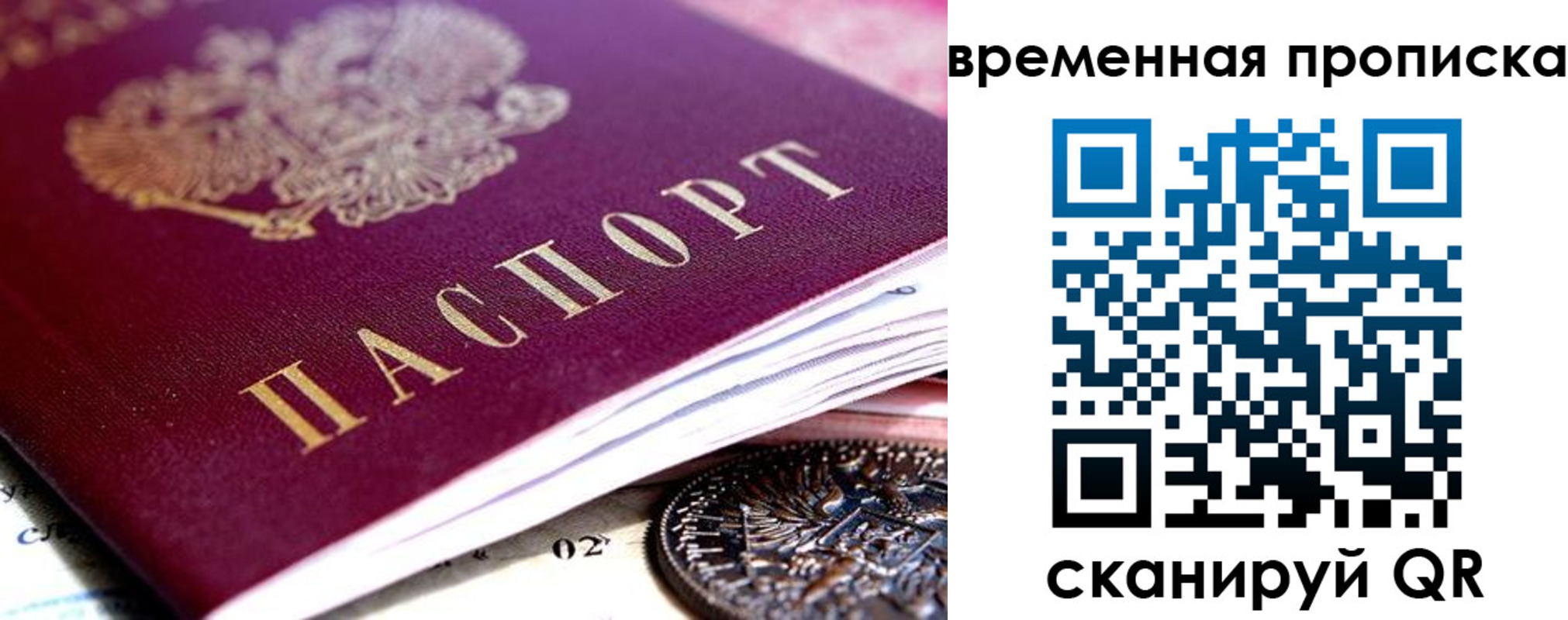 временная прописка в Электрогорске